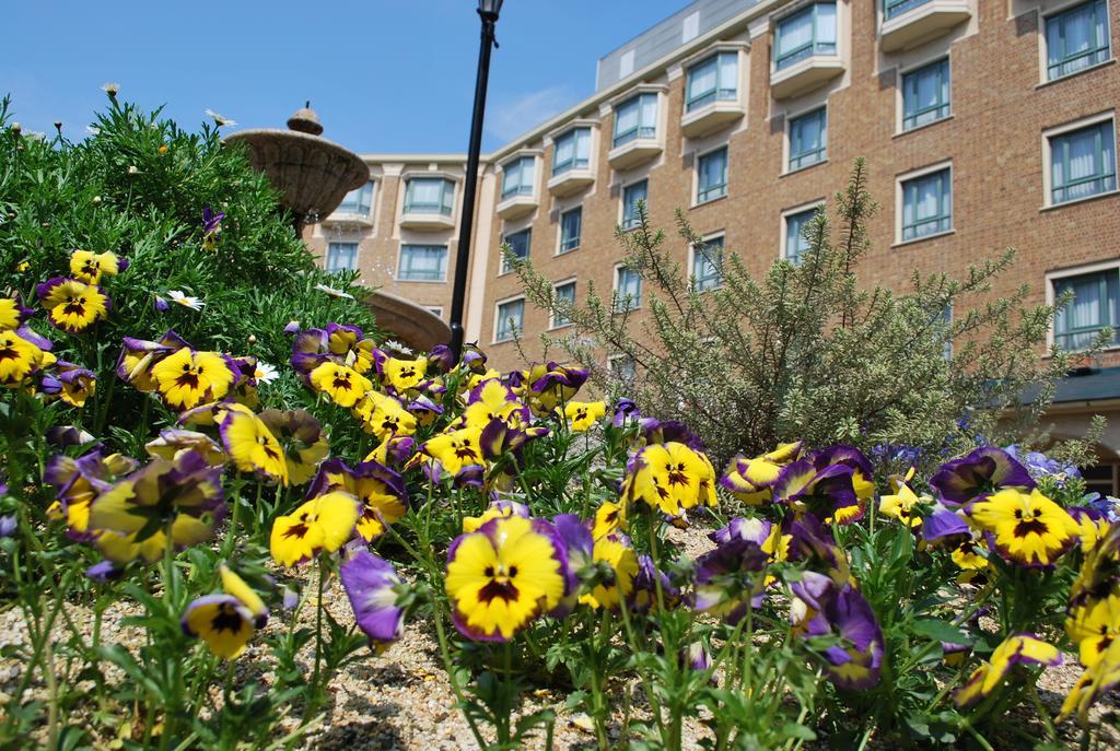 Royal Oak Hotel Spa & Gardens Otsu Exterior photo